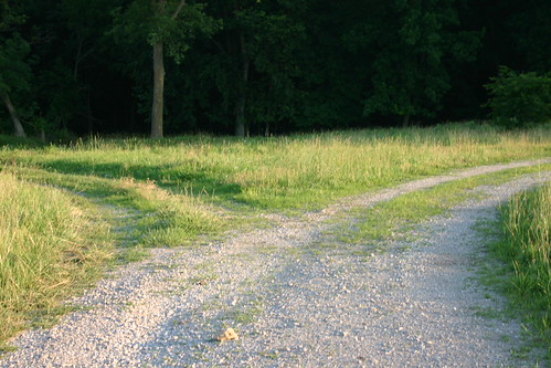 2 roads diverged in the woods