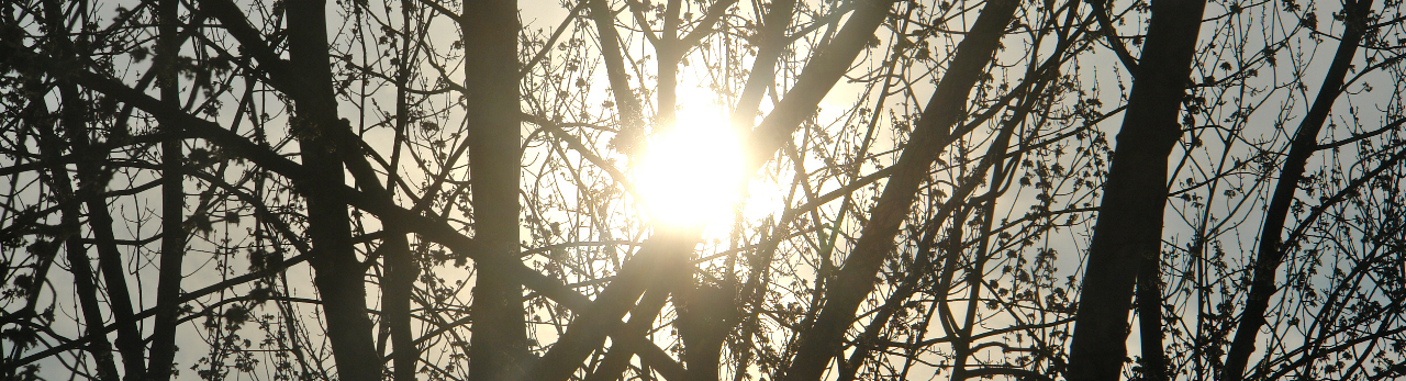 Birkat HaChama